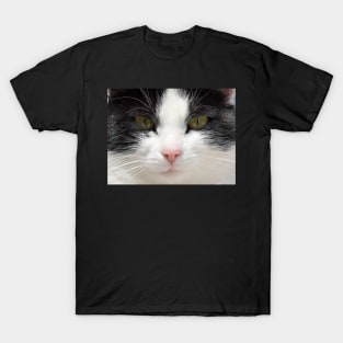 Black and White Cat Face, Gifts Cat Lovers T-Shirt